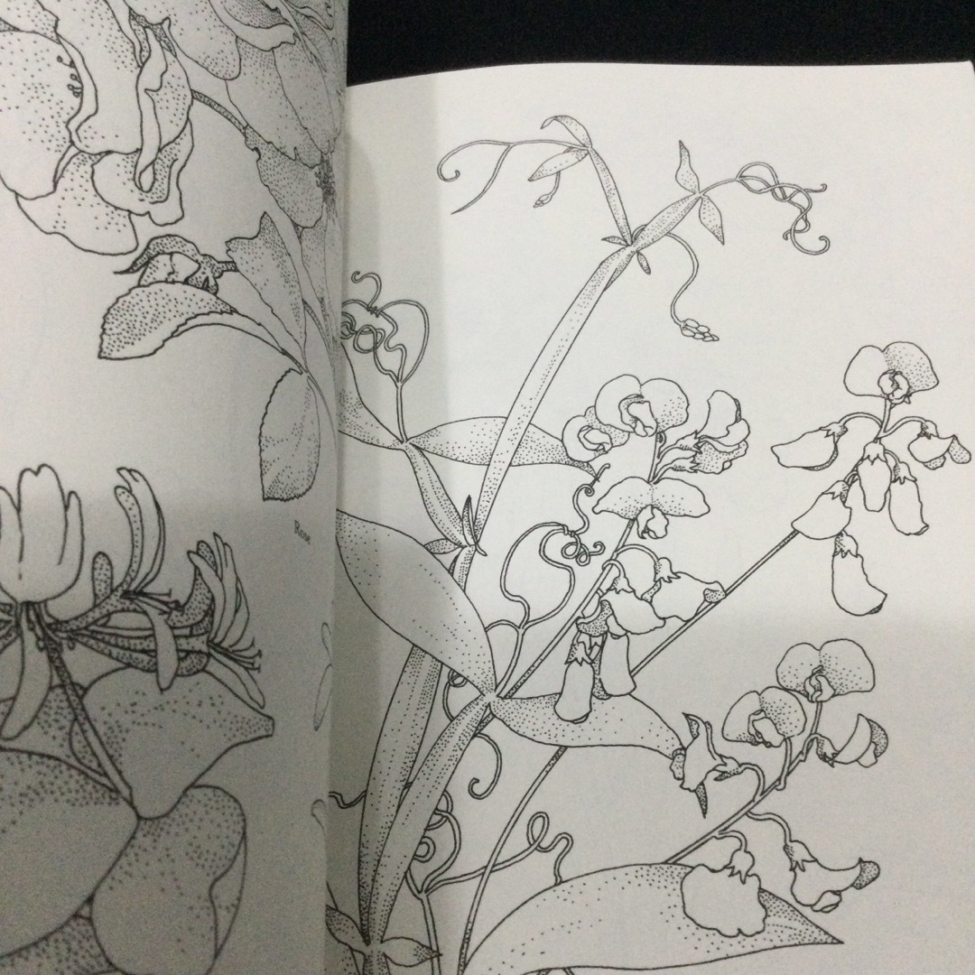 Flower designs フラワー　デザイン　洋書　花　植物　イラスト　英語 エンタメ/ホビーの本(洋書)の商品写真