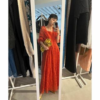 アメリヴィンテージ(Ameri VINTAGE)の新品 AMERI VINTAGE LIKE SHEER FLOWER DRESS(ロングワンピース/マキシワンピース)