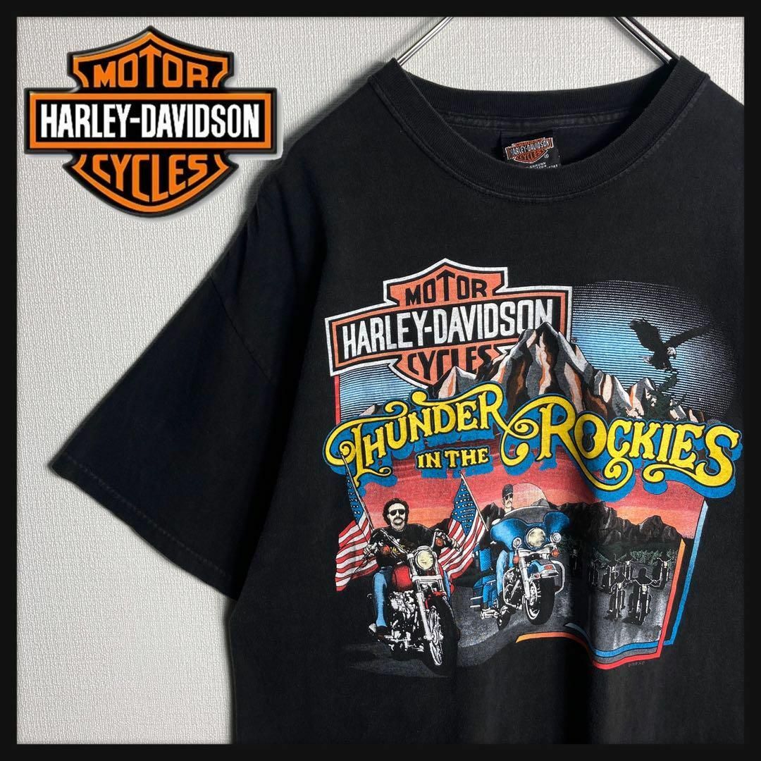 Harley Davidson(ハーレーダビッドソン)の【90s USA製】ハーレーダビッドソン　ビッグロゴ　Tシャツ　希少XLサイズ メンズのトップス(Tシャツ/カットソー(半袖/袖なし))の商品写真