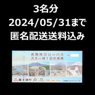 富士急　株主優待　富士急ハイランド　フリーパス　3名分(その他)