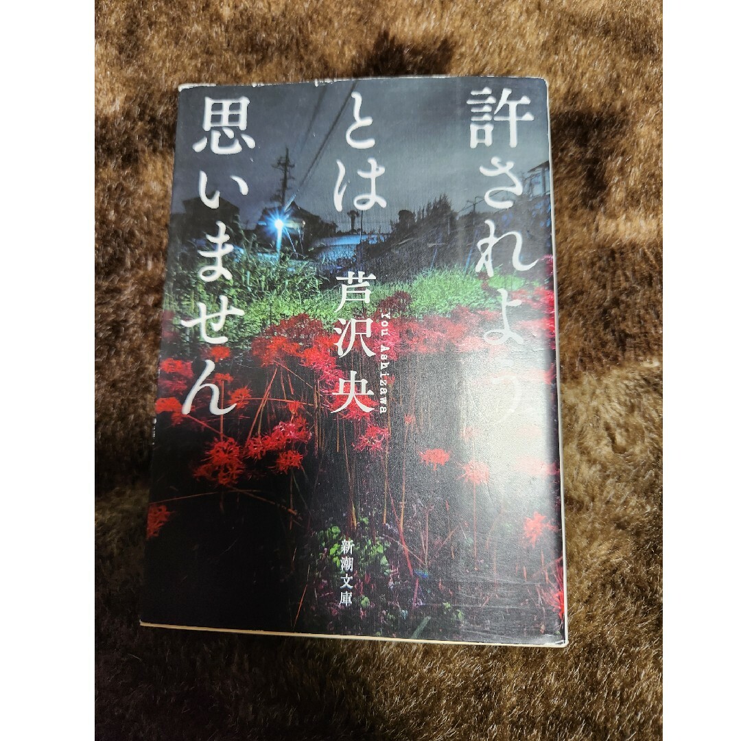 許されようとは思いません エンタメ/ホビーの本(文学/小説)の商品写真