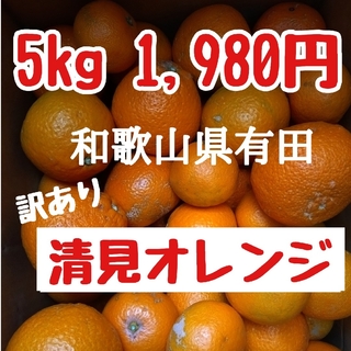和歌山県有田 ジュ～シ〜清見オレンジ5kg