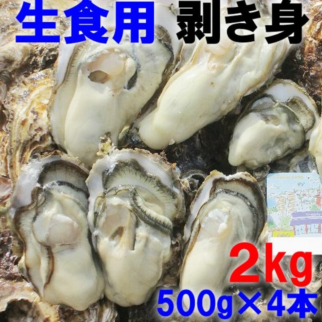 お鍋に！ 生食用（加熱も可）剥き身 牡蠣 500ｇ×４本牡蛎 むき身 松島牡蠣屋 食品/飲料/酒の食品(魚介)の商品写真