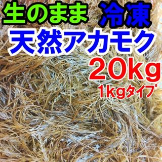 アカモク ２０ｋｇ（1ｋｇ×20袋）【生のまま冷凍小分け品】の完全無添加 ！あかもく ぎばさ ねばねば ネバネバ ギバサ「冷凍　アカモク２０ｋｇ（1kｇ×20袋）」【140】(魚介)