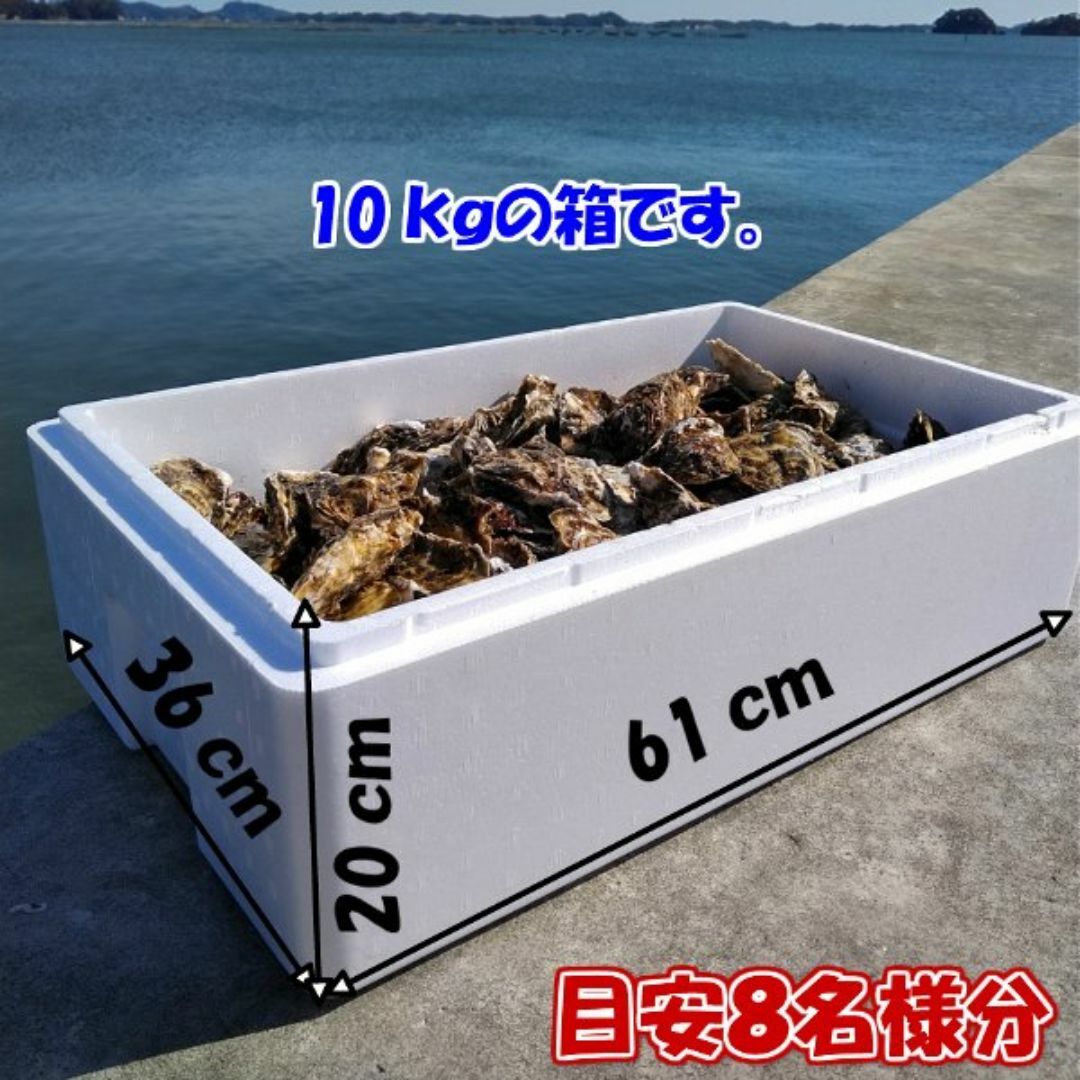 即日発送も可能 牡蠣 １０ｋｇ 殻付き 牡蠣 殻付き  牡蠣 殻付 加熱用 食品/飲料/酒の食品(魚介)の商品写真