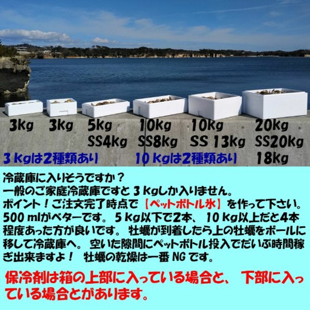 即日発送も可能 牡蠣 ５ｋｇ 殻付き 牡蠣 殻付き  牡蠣 殻付 加熱用 食品/飲料/酒の食品(魚介)の商品写真