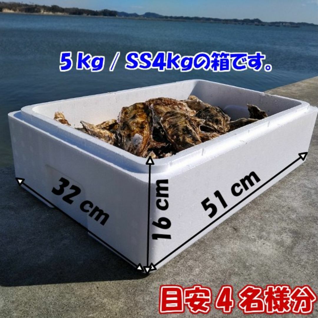 即日発送も可能 牡蠣 ５ｋｇ 殻付き 牡蠣 殻付き  牡蠣 殻付 加熱用 食品/飲料/酒の食品(魚介)の商品写真