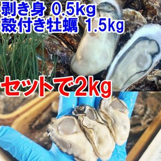 送料無料！【生食用剥き身500ｇ】と【殻付き牡蠣1.5ｋｇ（約13個）】のセット(魚介)