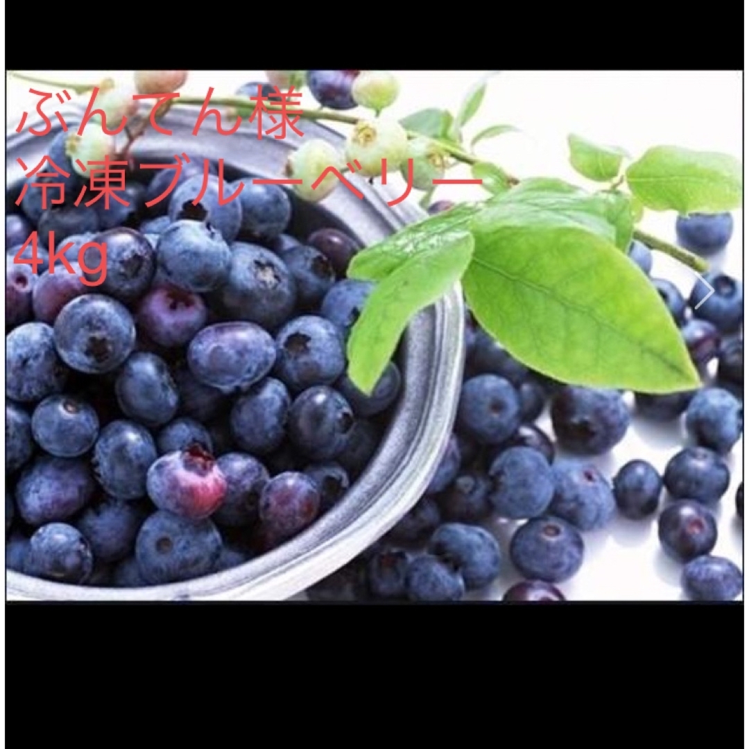 (ぶんてん様専用)冷凍ブルーベリー　千葉県産　無農薬　 食品/飲料/酒の食品(フルーツ)の商品写真