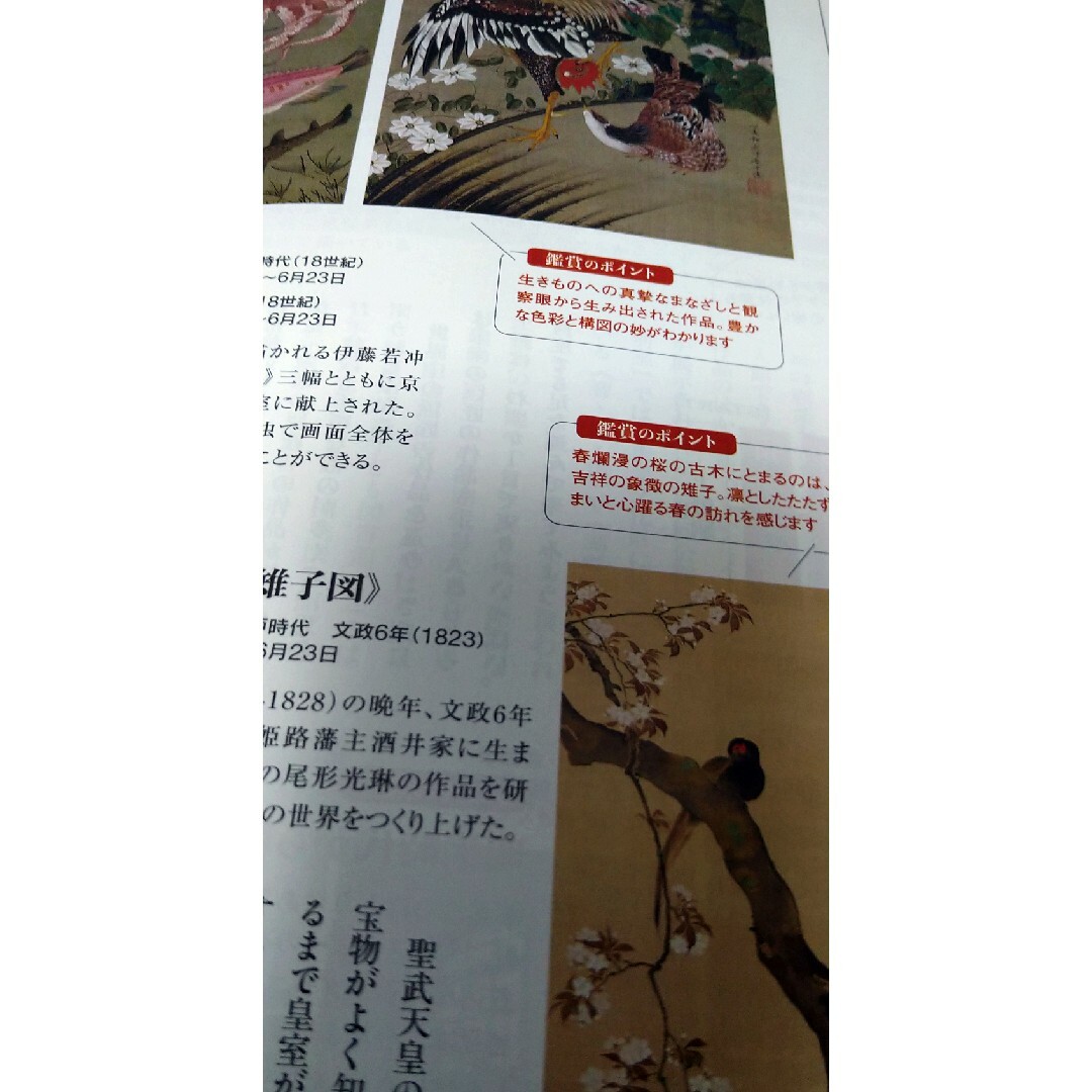 ノジュール4月号 エンタメ/ホビーの雑誌(その他)の商品写真