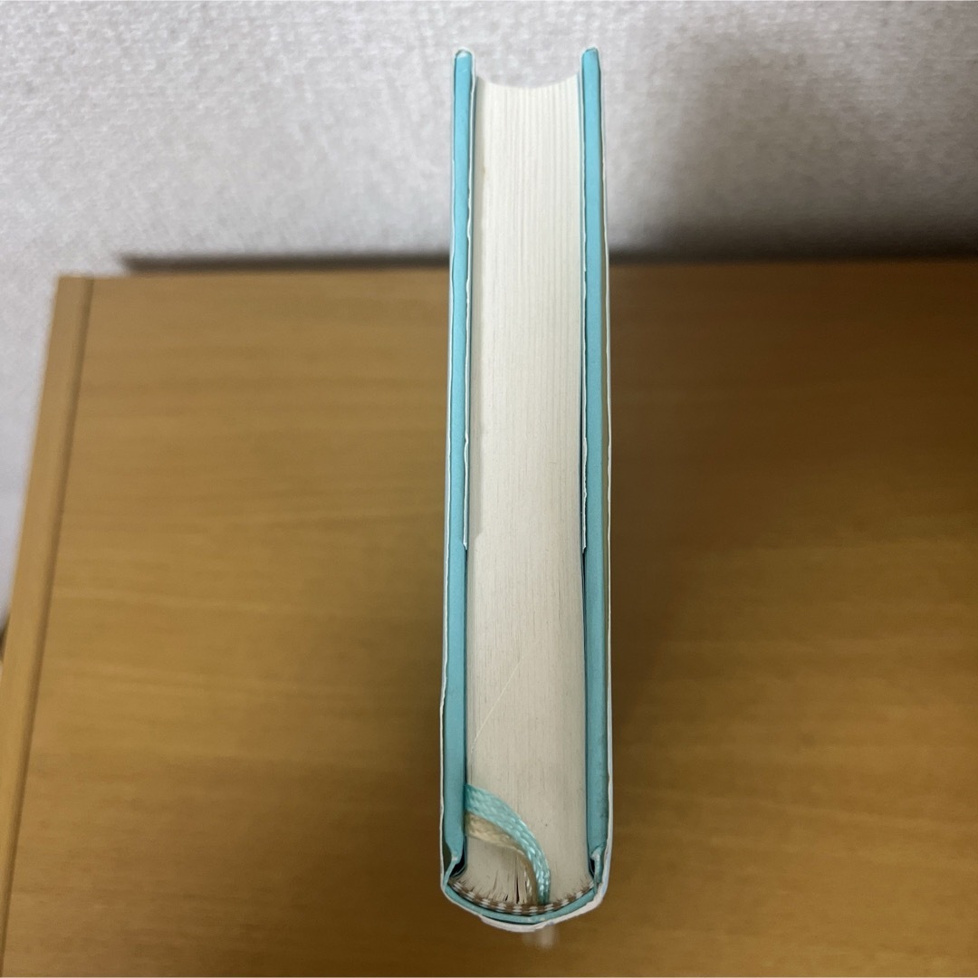 伊坂幸太郎/バイバイ、ブラックバ－ド エンタメ/ホビーの本(文学/小説)の商品写真