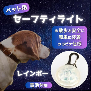 セーフティ ライト レインボー ペット LED 散歩 犬 首輪 安全 リード(犬)