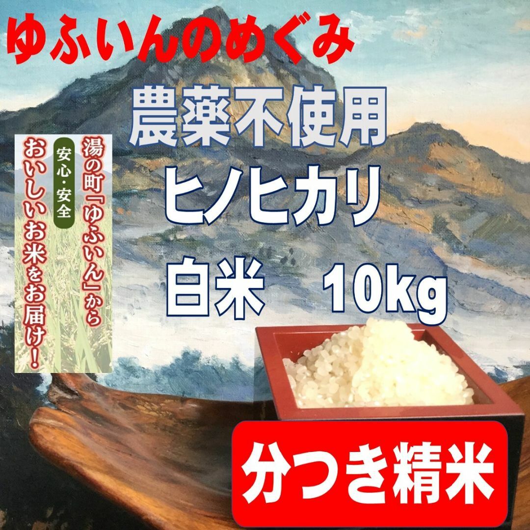 2023年産「ゆふいんのめぐみ」ヒノヒカリ分つき米10kg 食品/飲料/酒の食品(米/穀物)の商品写真