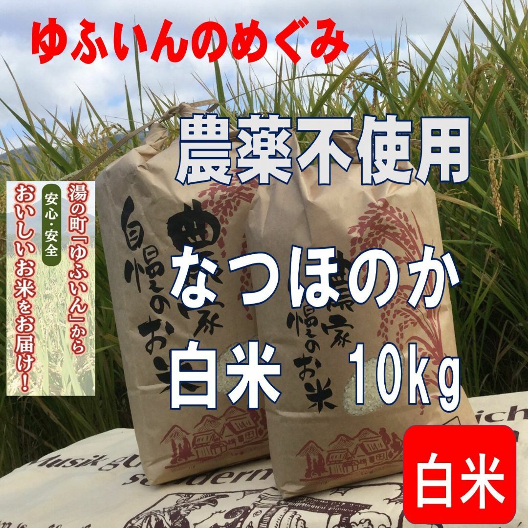 2023年産「ゆふいんのめぐみ」なつほのか白米10kg 食品/飲料/酒の食品(米/穀物)の商品写真