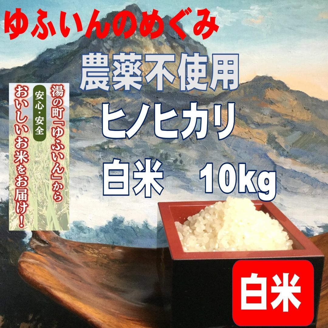 2023年産「ゆふいんのめぐみ」ヒノヒカリ白米10kg 食品/飲料/酒の食品(米/穀物)の商品写真