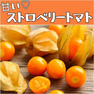 甘い食用ほおずきの種⭐︎ストロベリートマト 50粒(その他)