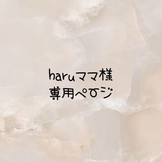 haruママ様専用☆ネームタグ(スクールシューズ/上履き)