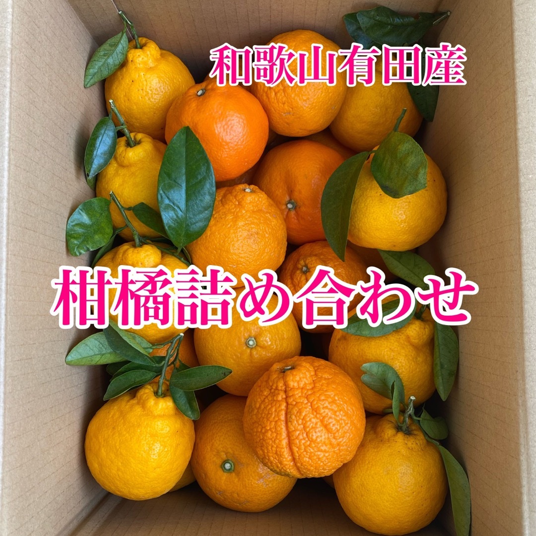 和歌山有田産　６種の柑橘詰め合わせ 食品/飲料/酒の食品(フルーツ)の商品写真