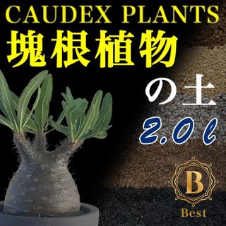 塊根植物の土Best2㍑培養土　パキポディウム・アデニウム等　グラキリス