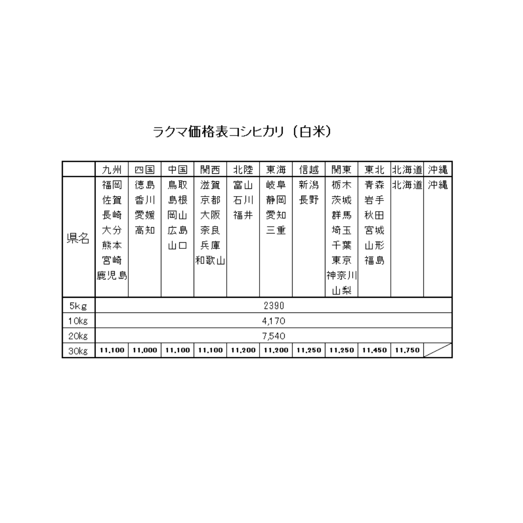 SHO♡AO プロフ必読！様専用お米　令和5年　愛媛県産コシヒカリ　白米　20㎏ 食品/飲料/酒の食品(米/穀物)の商品写真