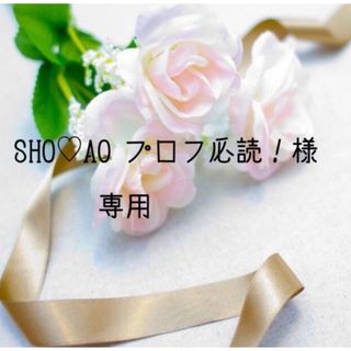 SHO♡AO プロフ必読！様専用お米　令和5年　愛媛県産コシヒカリ　白米　20㎏(米/穀物)