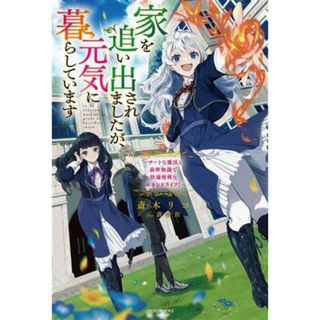 家を追い出されましたが、元気に暮らしています チートな魔法と前世知識で快適便利なセカンドライフ！ カドカワＢＯＯＫＳ／斎木リコ(著者),薔薇缶(イラスト)(文学/小説)