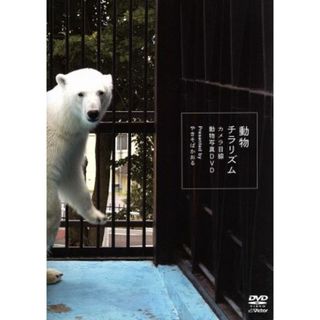 動物チラリズム－カメラ目線動物写真ＤＶＤ(趣味/実用)