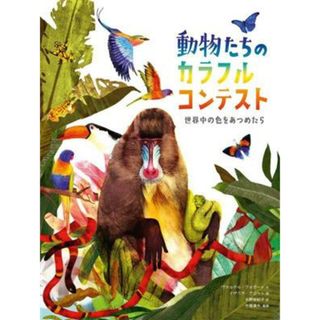 動物たちのカラフルコンテスト 世界中の色をあつめたら／水野裕紀子(訳者),今福道夫(監修),ヴァルテル・フォガート(文),イザベラ・グロット(絵)(絵本/児童書)