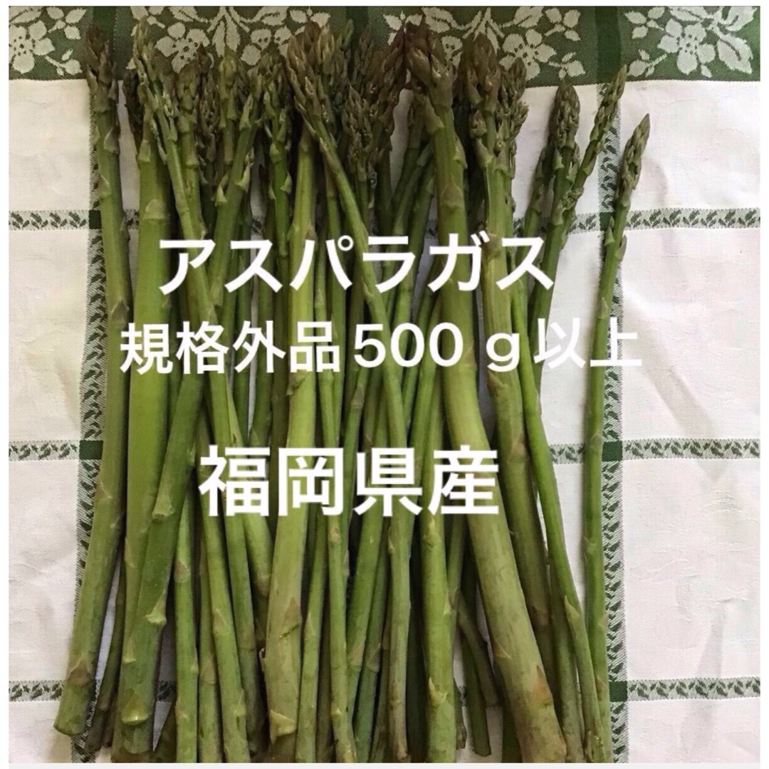 500グラム★福岡県産アスパラガス★規格外品★お値引き致しません 食品/飲料/酒の食品(野菜)の商品写真