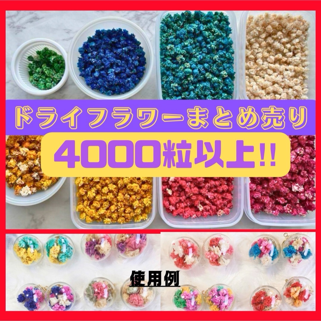 かすみ草　2000粒以上　ドライフラワー　まとめ売り　3 ハンドメイドのフラワー/ガーデン(ドライフラワー)の商品写真