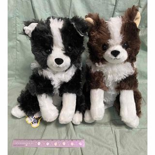 くったりボーダーコリー　ぬいぐるみ　セット　犬　新品タグ付き②(ぬいぐるみ)