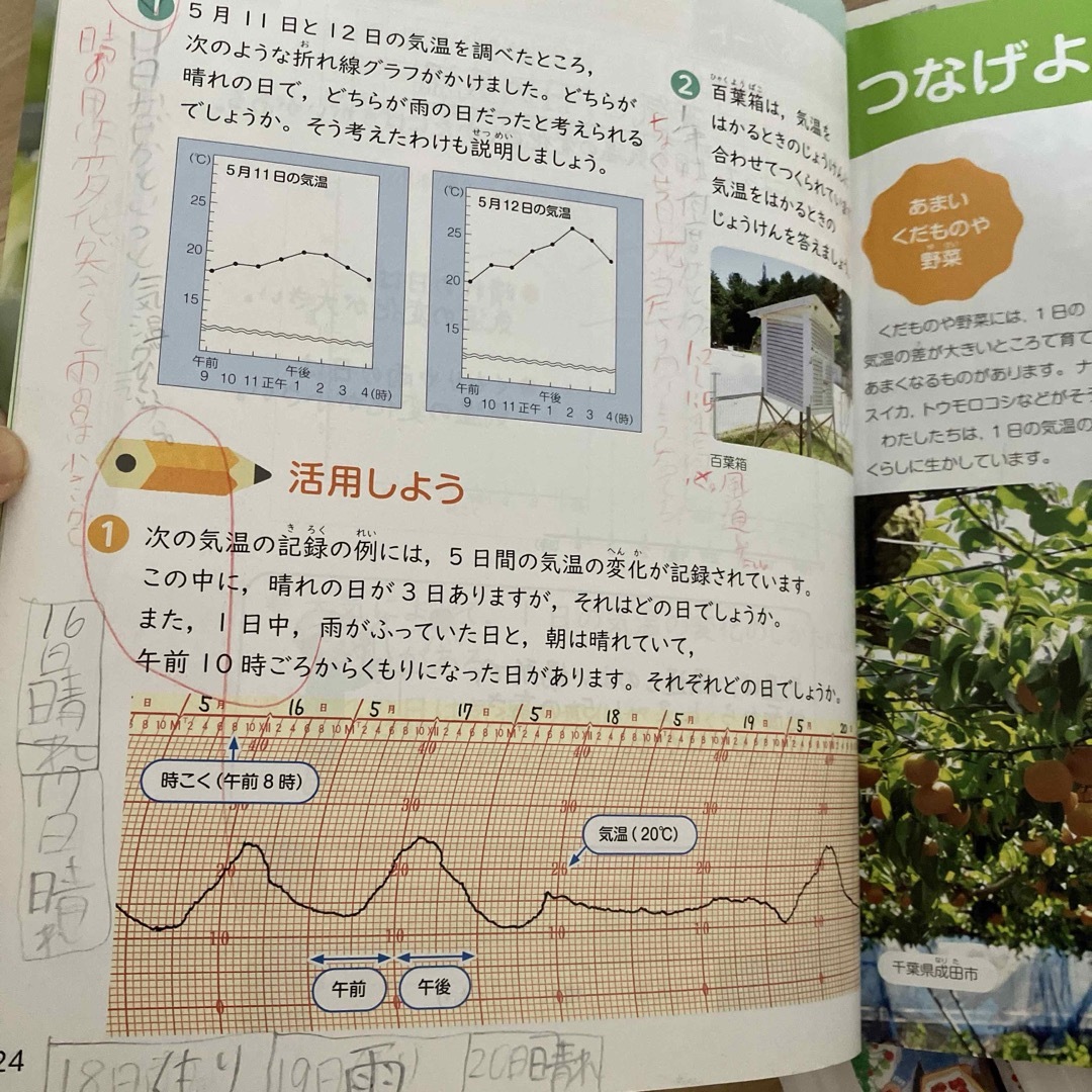 新しい社会　わくわく理科 小学校3・4年生　教科書 4冊　啓林館　東京書籍 エンタメ/ホビーの本(語学/参考書)の商品写真