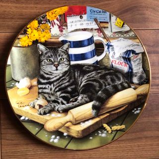 Royal Doulton The Kitchen Cat 絵皿　猫(食器)