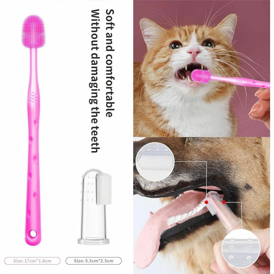 ペット 犬 猫 グルーミング ケアバスセット 歯ブラシ 爪切り はさみ 爪やすり その他のペット用品(猫)の商品写真