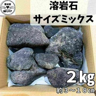 溶岩石 2kg サイズミックス(約3〜18cm) 小型水槽におすすめ！