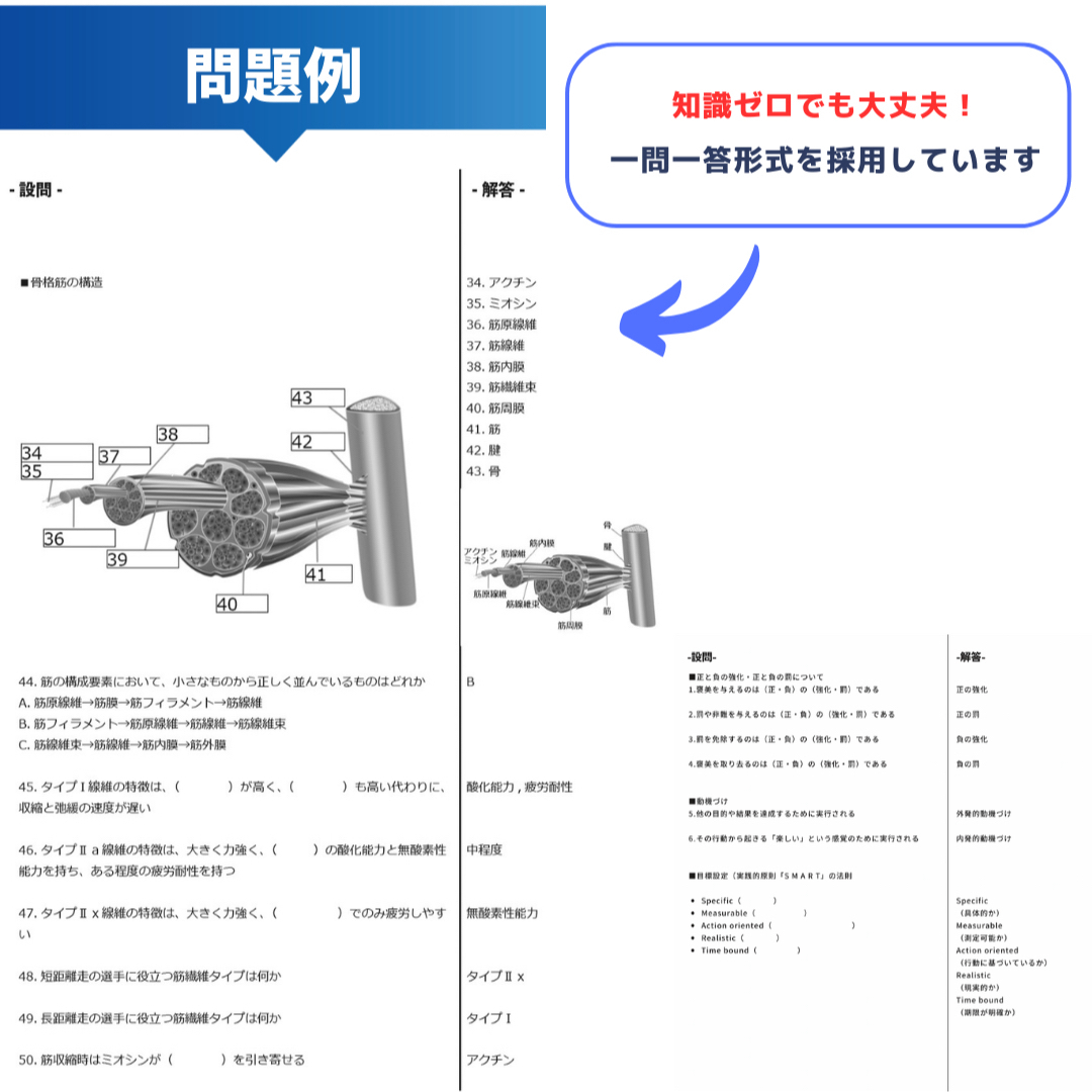 【NSCA-CPT試験対策】超基本の問題集+模擬試験問題 /2024年最新版 エンタメ/ホビーの本(資格/検定)の商品写真