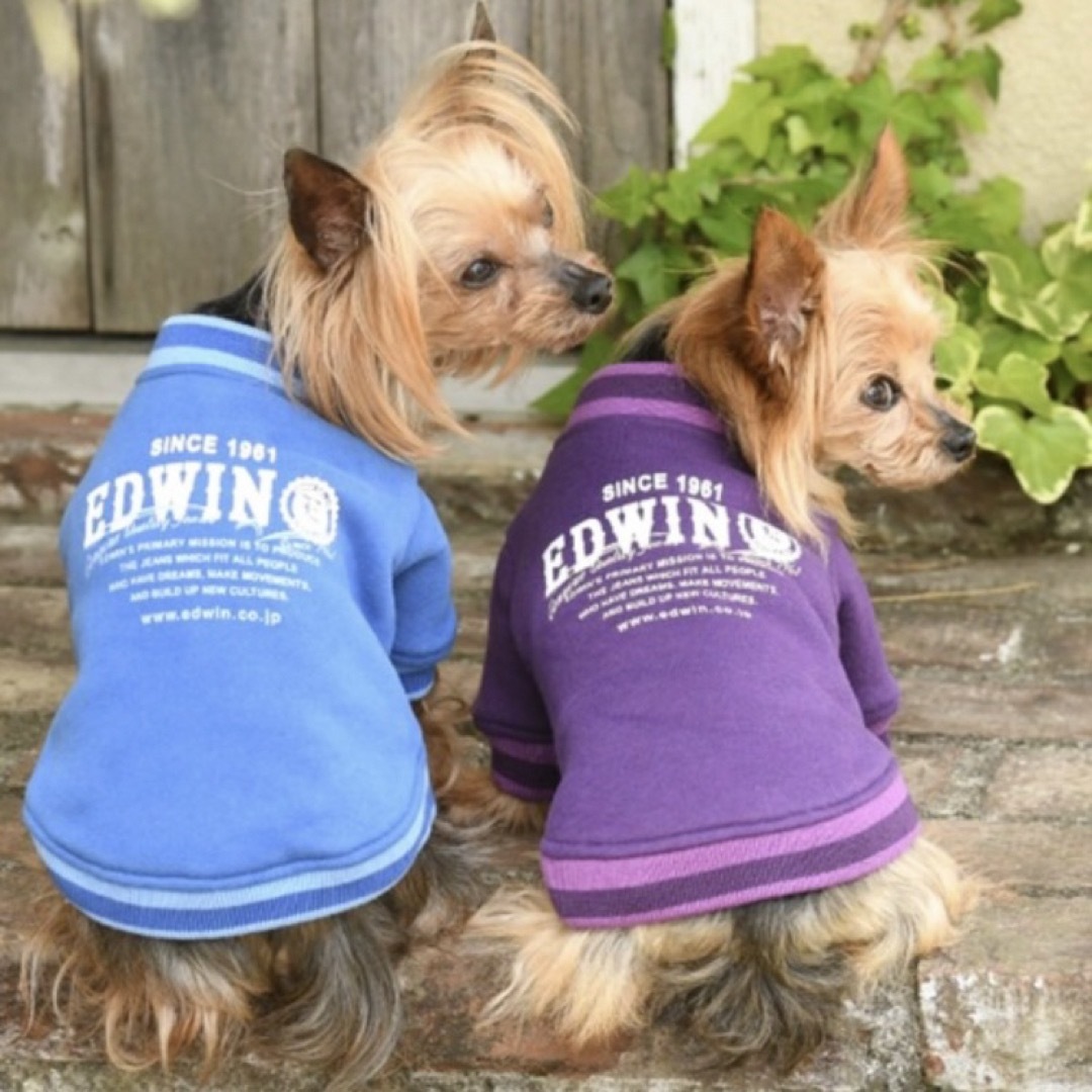 EDWIN(エドウィン)のEDWIN エドウィン ドッグウェア その他のペット用品(犬)の商品写真