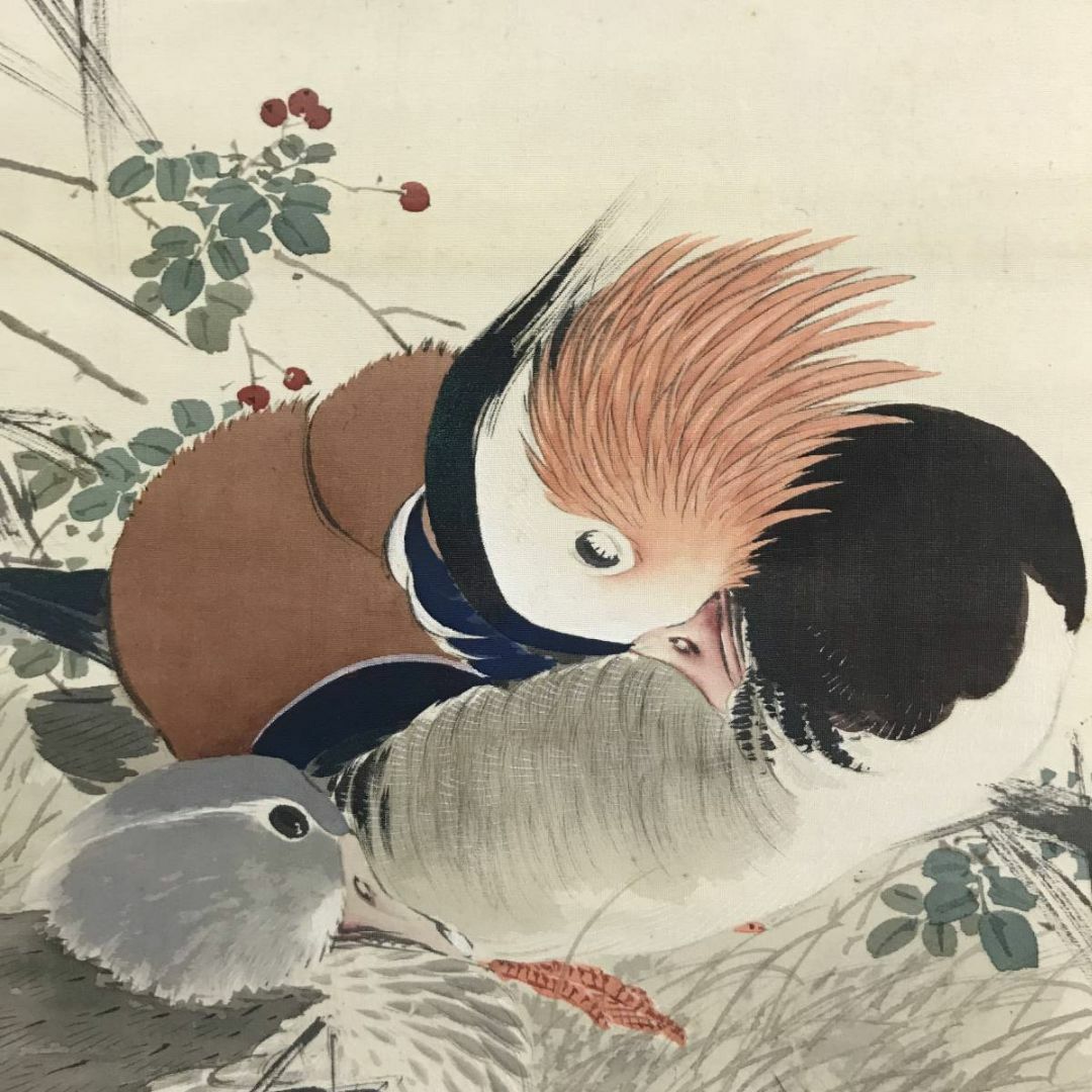真作】深田直城/寒汀オシドリ図/鴛鴦図/花鳥図/掛軸☆宝船☆AD 真作】深田直城/寒汀オシドリ図/鴛鴦図/花鳥図/掛軸☆宝船☆AD