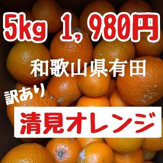 和歌山県有田 ジュ～シ〜清見オレンジ5kg(フルーツ)