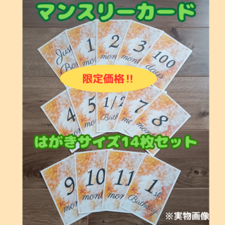 【限定価格】マンスリーカード　月齢カード　ベビー　フラワーオレンジ　ハガキサイズ(アルバム)