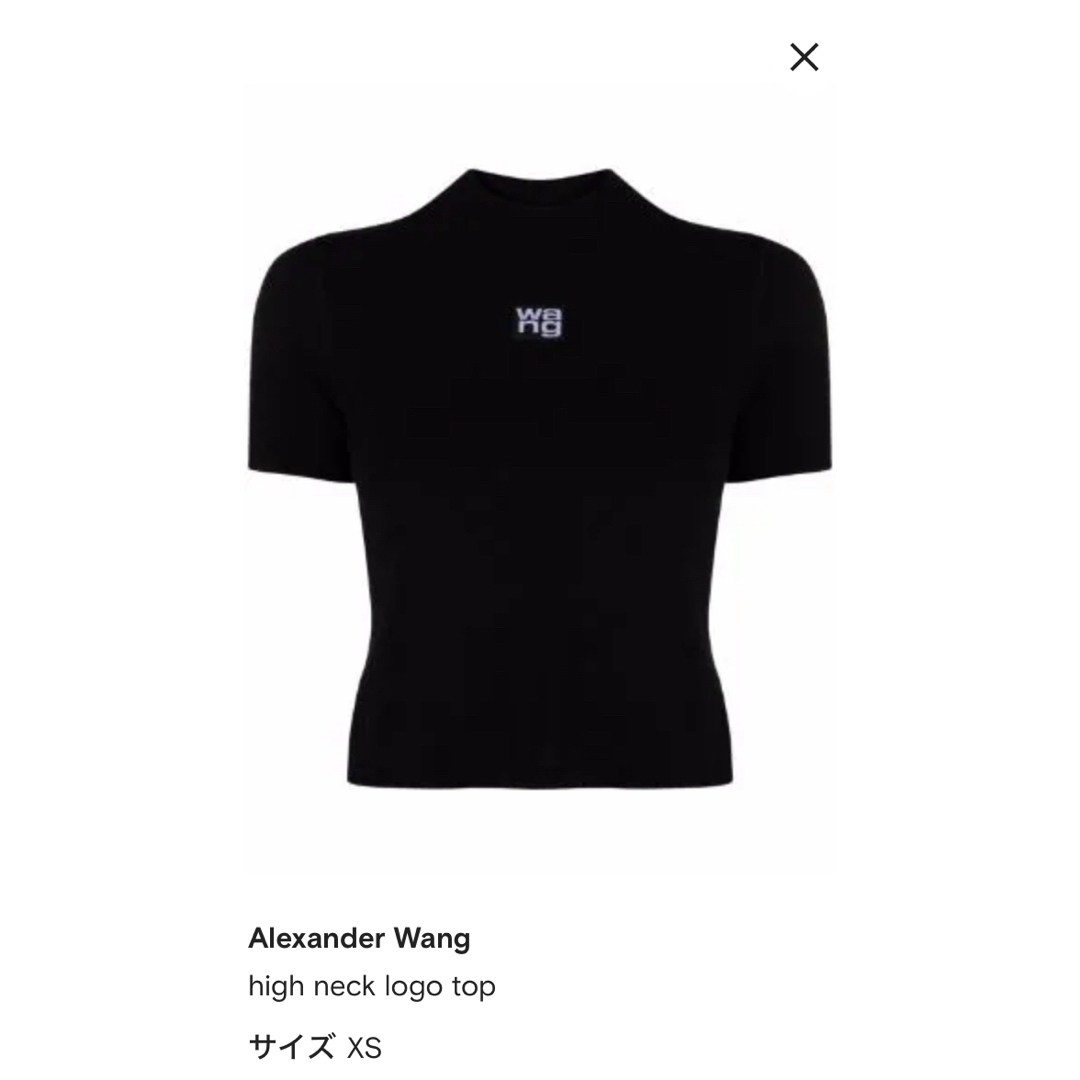 Alexander Wang(アレキサンダーワン)のAlexander Wang high neck logo top✨ レディースのトップス(ニット/セーター)の商品写真