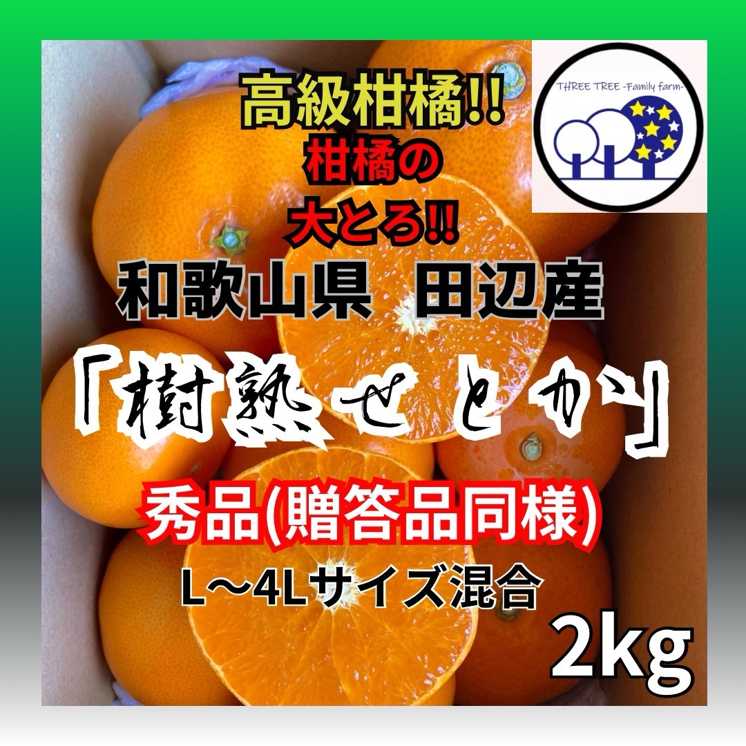 ①和歌山県田辺産 せとか オレンジ みかん 蜜柑 柑橘 秀品2kg 食品/飲料/酒の食品(フルーツ)の商品写真