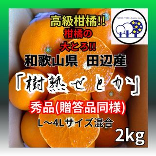 ①和歌山県田辺産 せとか オレンジ みかん 蜜柑 柑橘 秀品2kg(フルーツ)