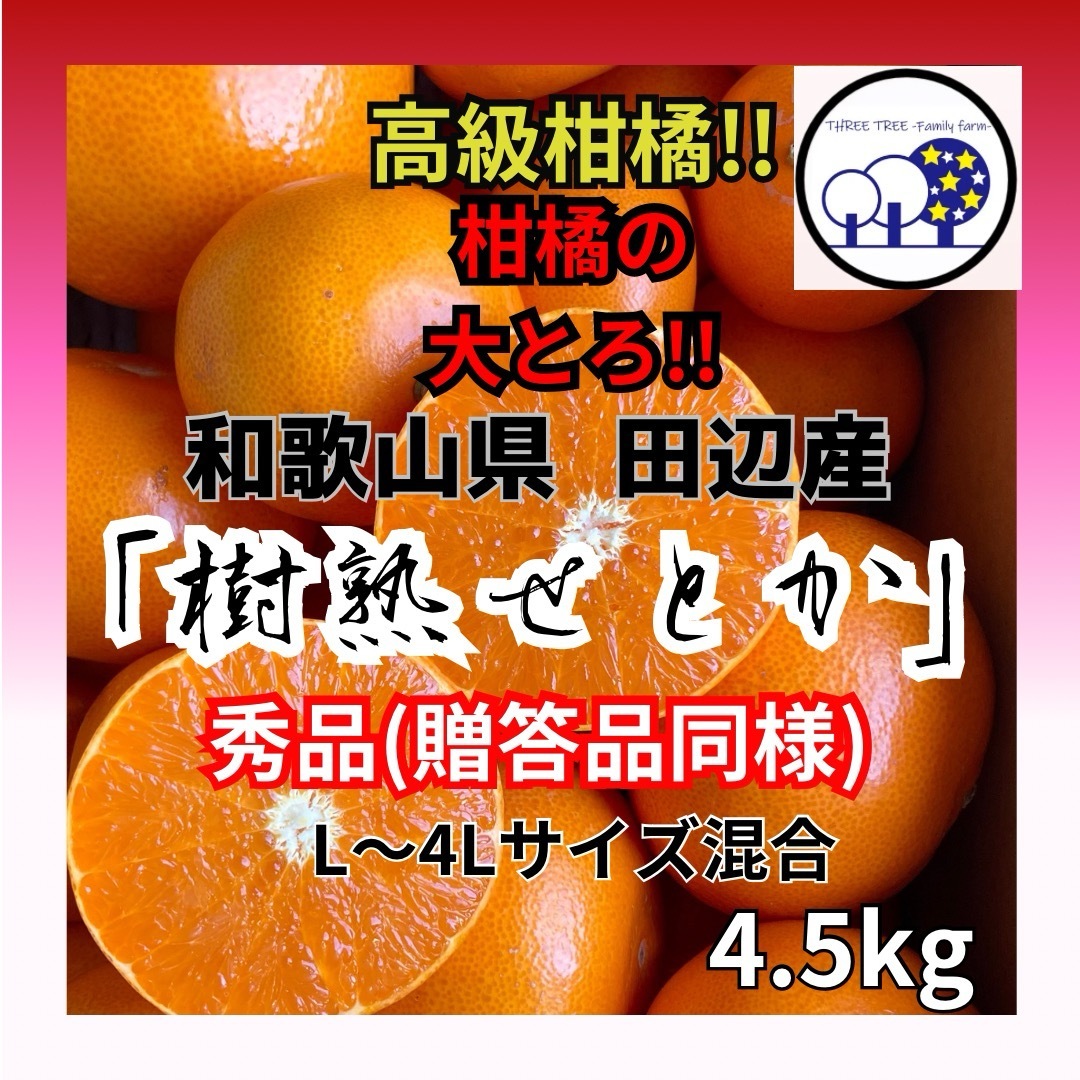 ①和歌山県田辺産 せとか オレンジ みかん 蜜柑 柑橘 秀品 4.5kg 食品/飲料/酒の食品(フルーツ)の商品写真