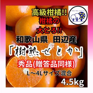 ①和歌山県田辺産 せとか オレンジ みかん 蜜柑 柑橘 秀品 4.5kg(フルーツ)