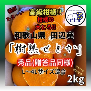 ②数量限定!和歌山県田辺産 せとか オレンジ みかん 蜜柑 柑橘 秀品2kg(フルーツ)