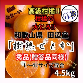 ②数量限定!和歌山県田辺産 せとか オレンジ みかん 蜜柑 柑橘秀品 4.5kg(フルーツ)