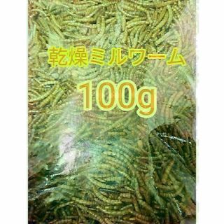 乾燥ミルワーム100g ハムスター フクロモモンガ ハリネズミ 小動物 爬虫類(鳥)