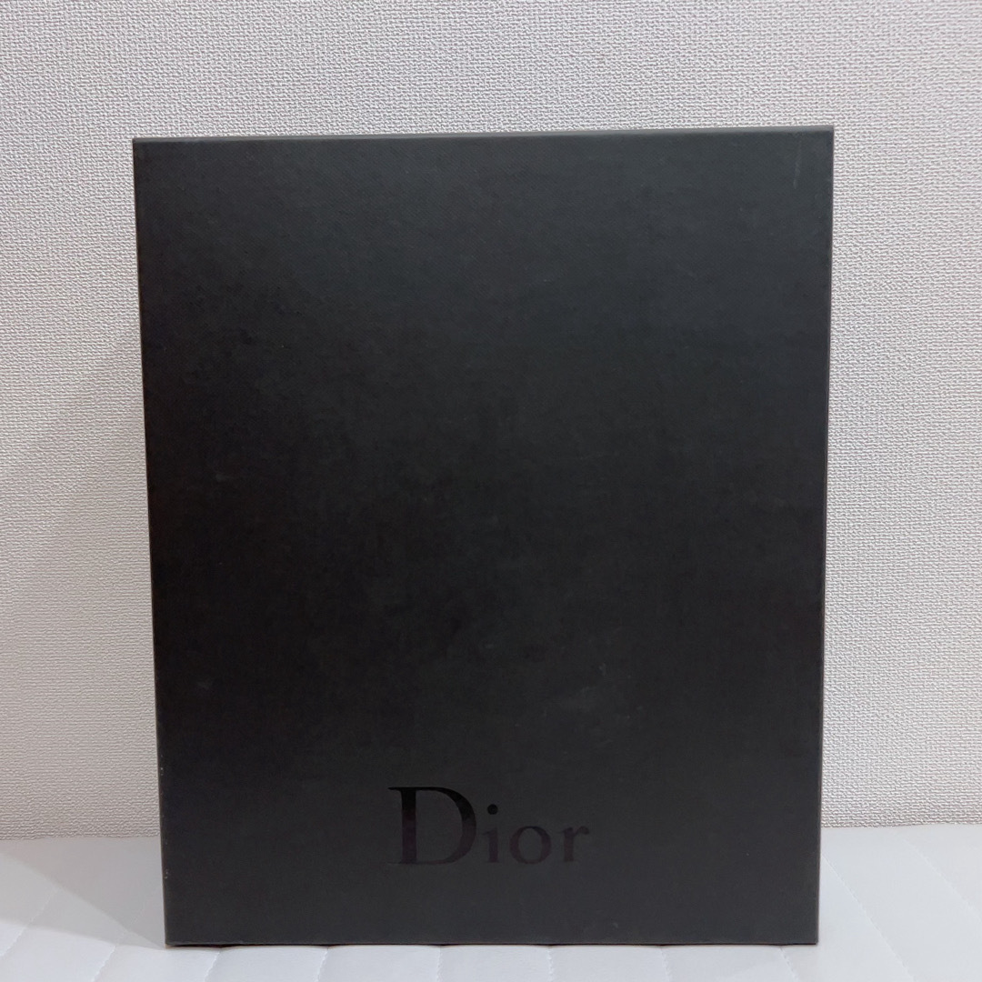 Dior(ディオール)のDior(ディオール)メンズスニーカー国内廃盤商品 メンズの靴/シューズ(スニーカー)の商品写真