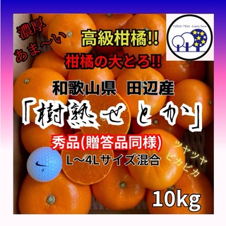 ①数量限定!和歌山県田辺産 せとか オレンジ みかん 蜜柑 柑橘 秀品10kg